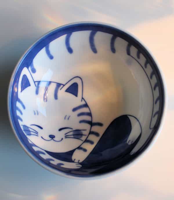 tiger_cat01 Tiger Cat