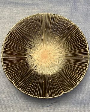 precious plate black