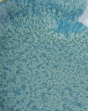 Sojafat Peacock - Bild 3